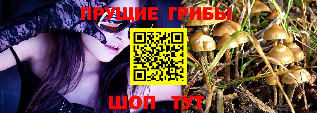  COCAIN Кумертау